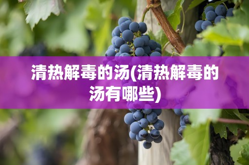 清热解毒的汤(清热解毒的汤有哪些)