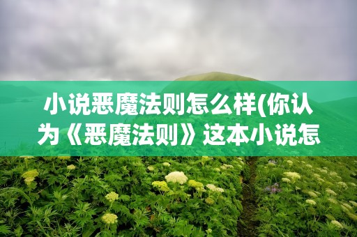 小说恶魔法则怎么样(你认为《恶魔法则》这本小说怎么样)