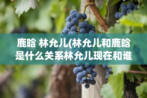 鹿晗 林允儿(林允儿和鹿晗是什么关系林允儿现在和谁在一起)