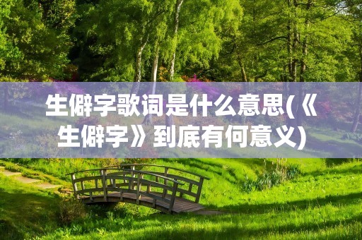 生僻字歌词是什么意思(《生僻字》到底有何意义)
