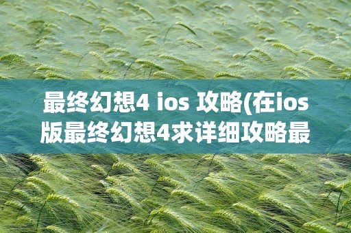 最终幻想4 ios 攻略(在ios版最终幻想4求详细攻略最强武器在哪能)
