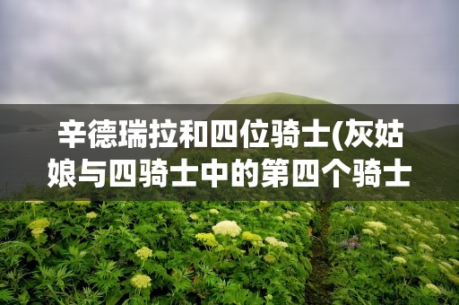 辛德瑞拉和四位骑士(灰姑娘与四骑士中的第四个骑士是谁)