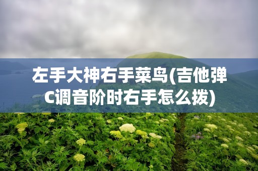 左手大神右手菜鸟(吉他弹C调音阶时右手怎么拨)