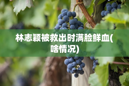林志颖被救出时满脸鲜血(啥情况)
