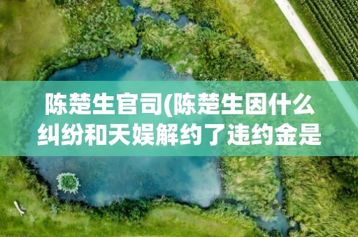 陈楚生官司(陈楚生因什么纠纷和天娱解约了违约金是多少)