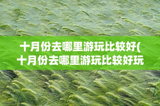十月份去哪里游玩比较好(十月份去哪里游玩比较好玩)