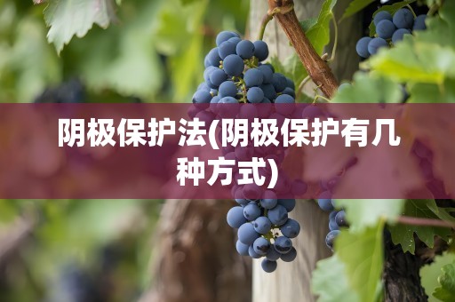 阴极保护法(阴极保护有几种方式)