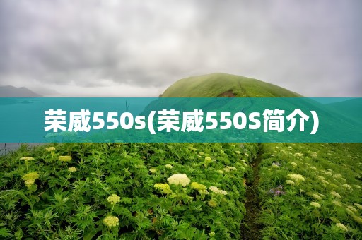 荣威550s(荣威550S简介)
