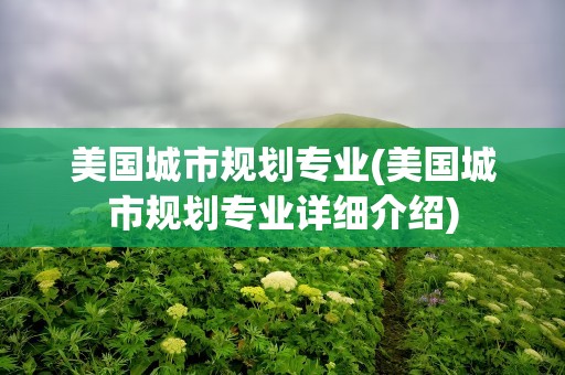 美国城市规划专业(美国城市规划专业详细介绍)
