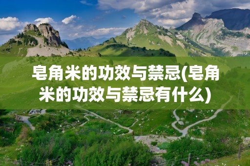 皂角米的功效与禁忌(皂角米的功效与禁忌有什么)