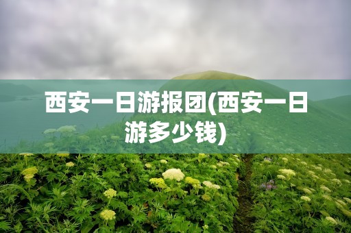 西安一日游报团(西安一日游多少钱)