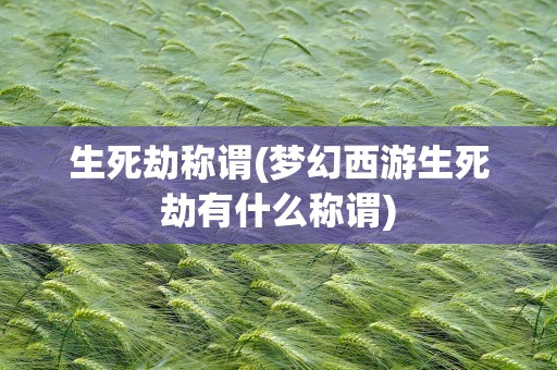 生死劫称谓(梦幻西游生死劫有什么称谓)