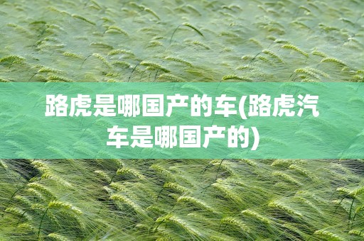 路虎是哪国产的车(路虎汽车是哪国产的)