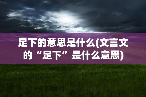 足下的意思是什么(文言文的“足下”是什么意思)