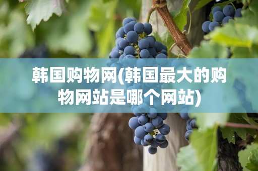 韩国购物网(韩国最大的购物网站是哪个网站)