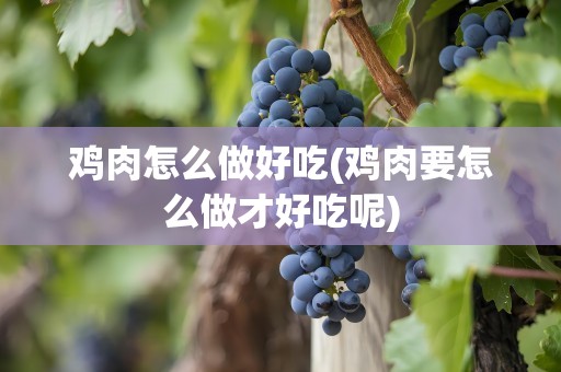 鸡肉怎么做好吃(鸡肉要怎么做才好吃呢)