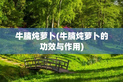 牛腩炖萝卜(牛腩炖萝卜的功效与作用)