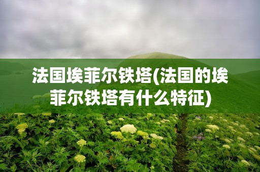 法国埃菲尔铁塔(法国的埃菲尔铁塔有什么特征)