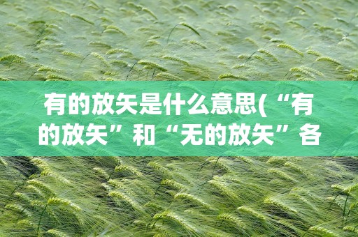 有的放矢是什么意思(“有的放矢”和“无的放矢”各是什么意思)