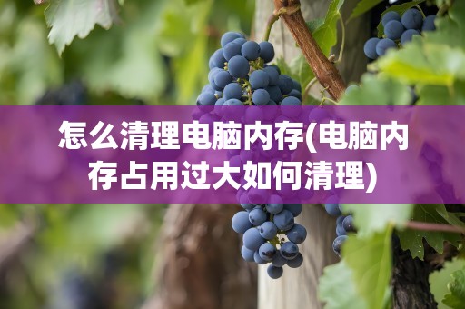 怎么清理电脑内存(电脑内存占用过大如何清理)