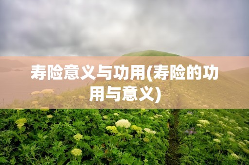 寿险意义与功用(寿险的功用与意义)