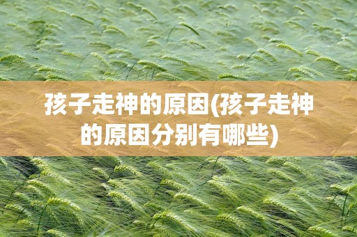 孩子走神的原因(孩子走神的原因分别有哪些)