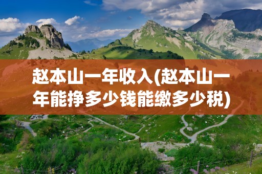赵本山一年收入(赵本山一年能挣多少钱能缴多少税)