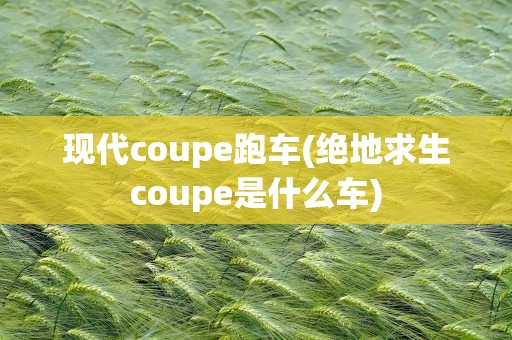 现代coupe跑车(绝地求生coupe是什么车)