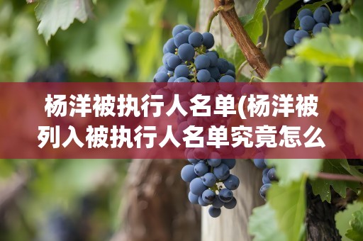 杨洋被执行人名单(杨洋被列入被执行人名单究竟怎么回事杨洋如何回应)