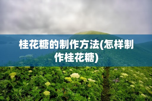 桂花糖的制作方法(怎样制作桂花糖)
