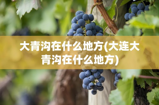 大青沟在什么地方(大连大青沟在什么地方)
