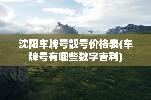 沈阳车牌号靓号价格表(车牌号有哪些数字吉利)