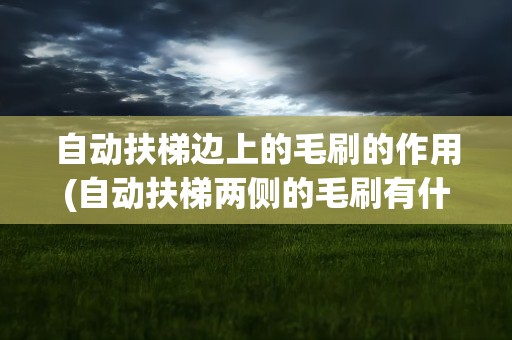 自动扶梯边上的毛刷的作用(自动扶梯两侧的毛刷有什么作用)