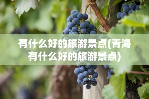 有什么好的旅游景点(青海有什么好的旅游景点)