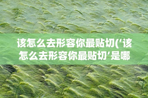 该怎么去形容你最贴切(‘该怎么去形容你最贴切’是哪首歌里的歌词)
