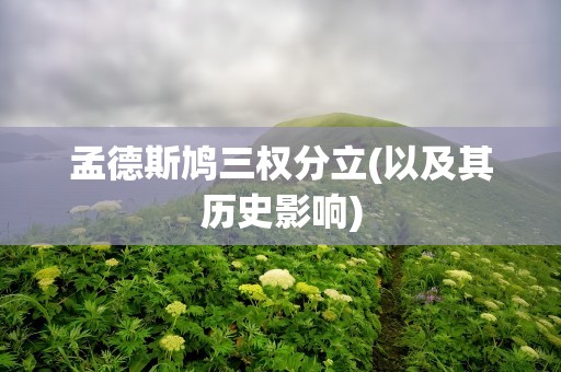 孟德斯鸠三权分立(以及其历史影响)