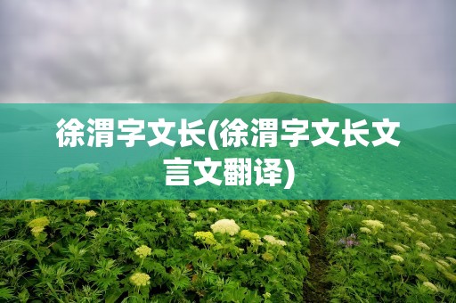 徐渭字文长(徐渭字文长文言文翻译)