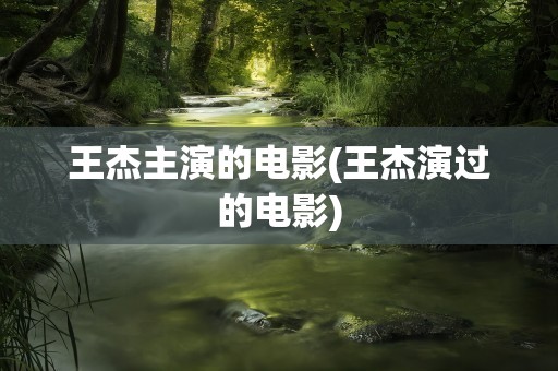 王杰主演的电影(王杰演过的电影)