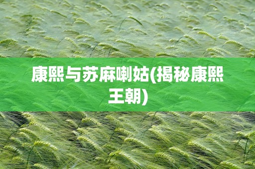 康熙与苏麻喇姑(揭秘康熙王朝)
