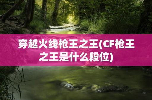 穿越火线枪王之王(CF枪王之王是什么段位)