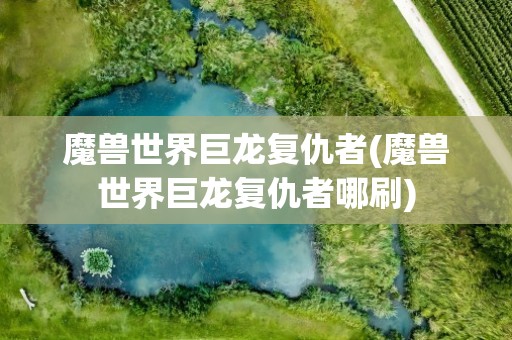 魔兽世界巨龙复仇者(魔兽世界巨龙复仇者哪刷)