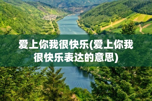爱上你我很快乐(爱上你我很快乐表达的意思)