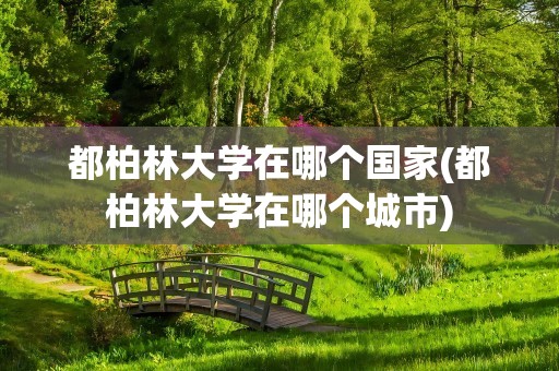 都柏林大学在哪个国家(都柏林大学在哪个城市)