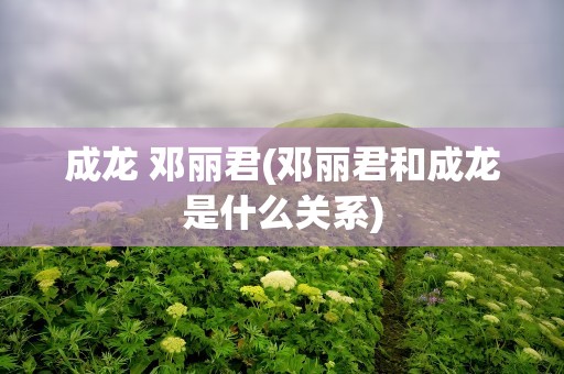 成龙 邓丽君(邓丽君和成龙是什么关系)