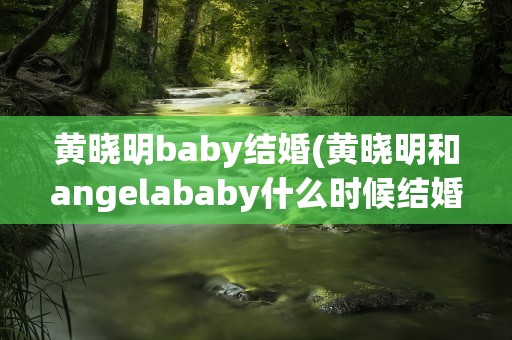 黄晓明baby结婚(黄晓明和angelababy什么时候结婚)