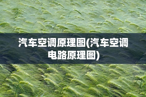 汽车空调原理图(汽车空调电路原理图)