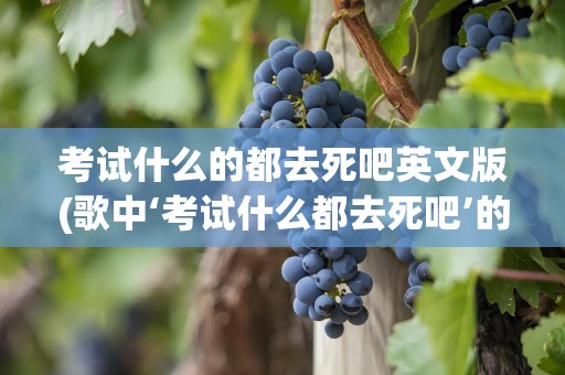 考试什么的都去死吧英文版(歌中‘考试什么都去死吧’的歌的歌名是什么)