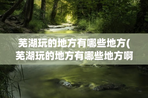 芜湖玩的地方有哪些地方(芜湖玩的地方有哪些地方啊)