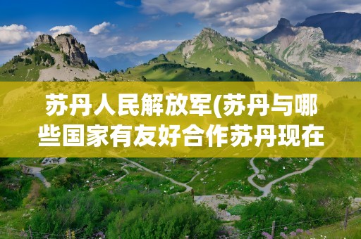 苏丹人民解放军(苏丹与哪些国家有友好合作苏丹现在的军事情况)