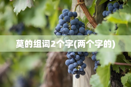 莫的组词2个字(两个字的)